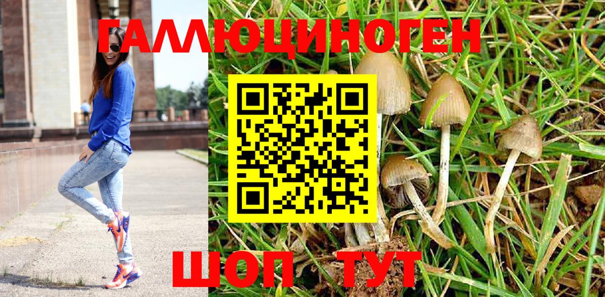 Галлюциногенные грибы мицелий  Вход с VPN  Кизилюрт 